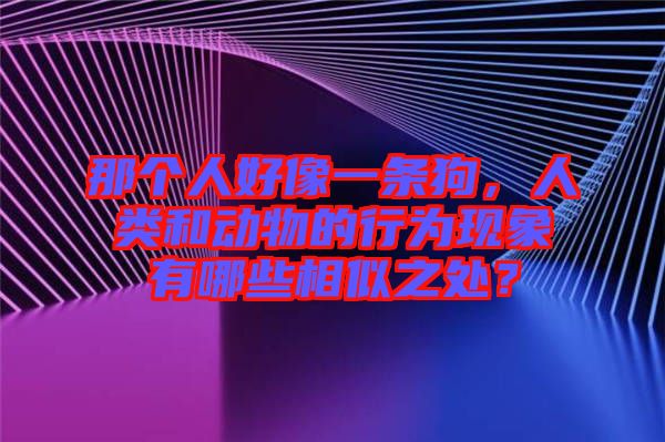 那個(gè)人好像一條狗，人類和動(dòng)物的行為現(xiàn)象有哪些相似之處？