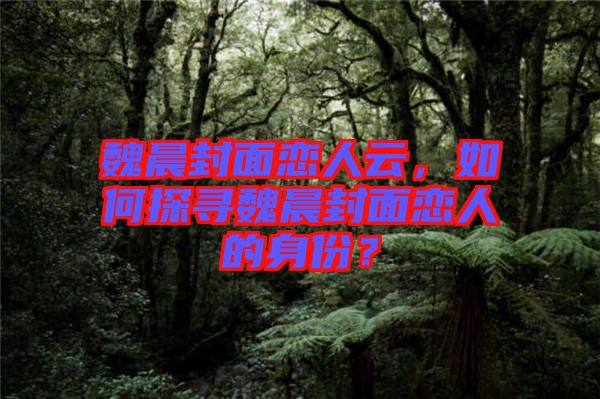 魏晨封面戀人云，如何探尋魏晨封面戀人的身份？