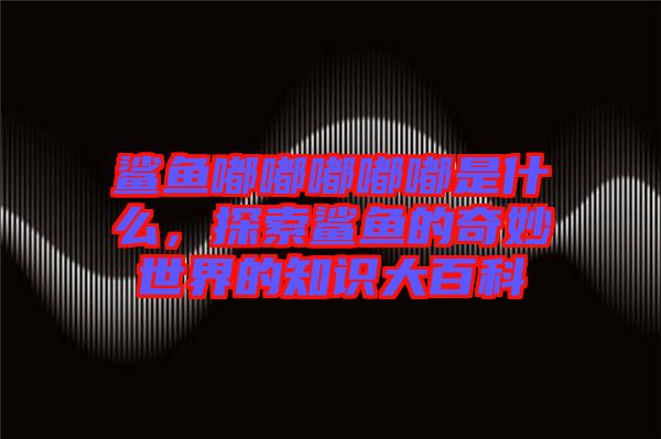 鯊魚嘟嘟嘟嘟嘟是什么，探索鯊魚的奇妙世界的知識(shí)大百科