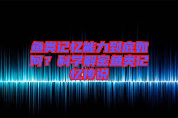 魚類記憶能力到底如何？科學解密魚類記憶傳說