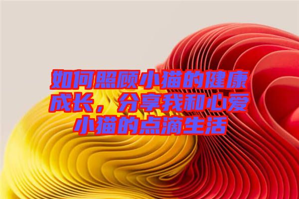 如何照顧小貓的健康成長，分享我和心愛小貓的點滴生活