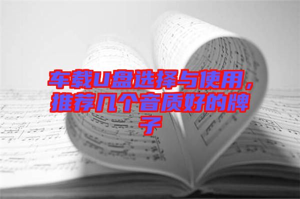車載U盤選擇與使用，推薦幾個(gè)音質(zhì)好的牌子