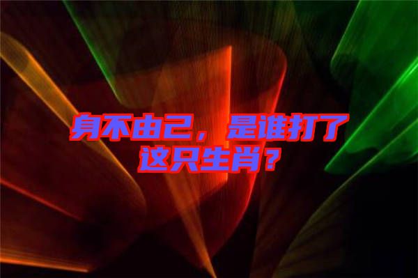 身不由己，是誰打了這只生肖？