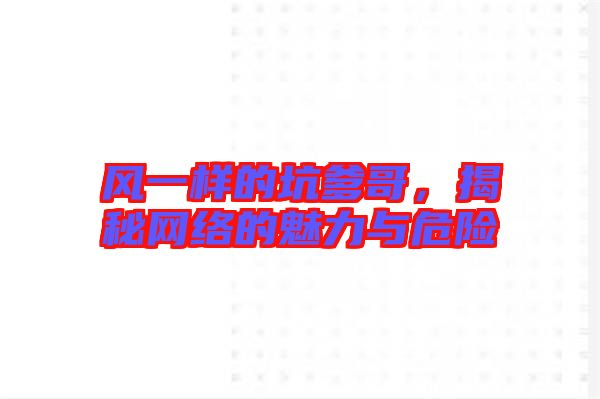 風(fēng)一樣的坑爹哥，揭秘網(wǎng)絡(luò)的魅力與危險