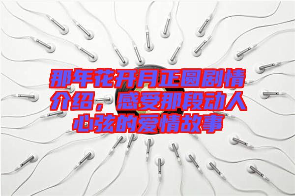 那年花開月正圓劇情介紹，感受那段動(dòng)人心弦的愛情故事