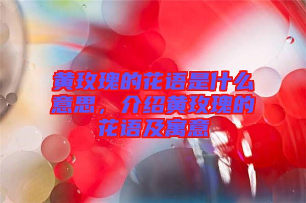 黃玫瑰的花語是什么意思，介紹黃玫瑰的花語及寓意