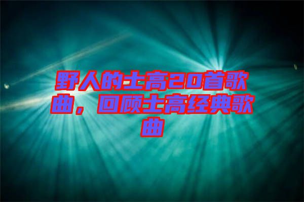 野人的士高20首歌曲，回顧士高經(jīng)典歌曲