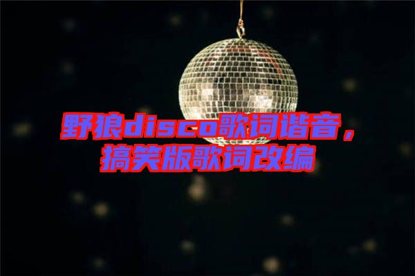 野狼disco歌詞諧音，搞笑版歌詞改編