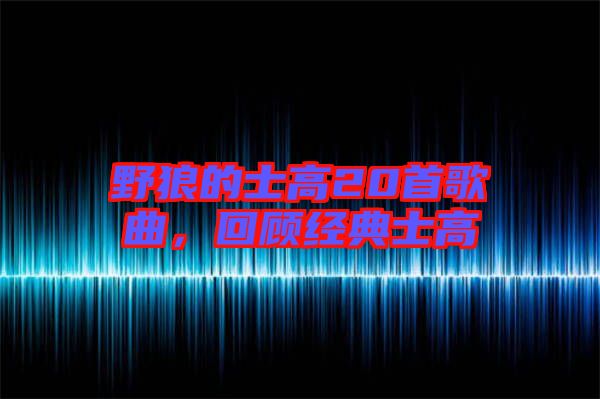 野狼的士高20首歌曲，回顧經(jīng)典士高