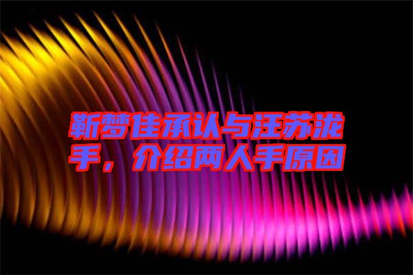 靳夢(mèng)佳承認(rèn)與汪蘇瀧手，介紹兩人手原因