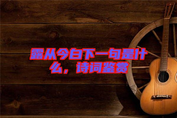 露從今白下一句是什么，詩詞鑒賞