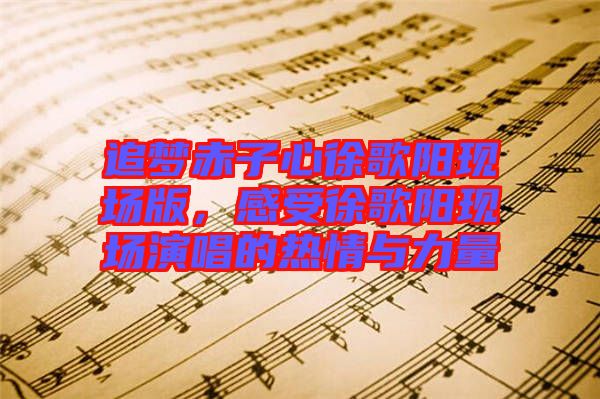 追夢(mèng)赤子心徐歌陽現(xiàn)場版，感受徐歌陽現(xiàn)場演唱的熱情與力量