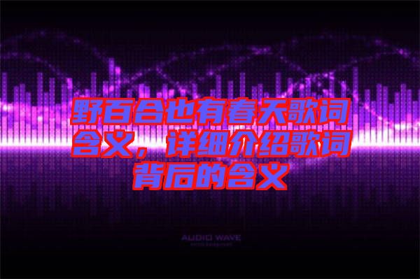 野百合也有春天歌詞含義，詳細(xì)介紹歌詞背后的含義