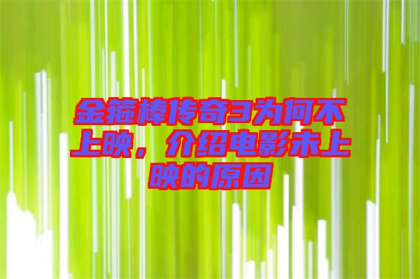 金箍棒傳奇3為何不上映，介紹電影未上映的原因