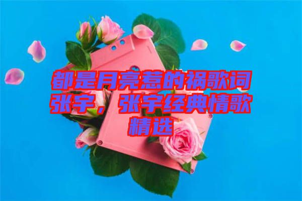 都是月亮惹的禍歌詞張宇，張宇經(jīng)典情歌精選